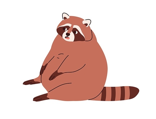 Cute chunky raccoon with fat full belly, sitting in funny pose. Lazy chubby racoon. Amusing sweet animal relaxing. Fatty stout character. Flat vector illustration isolated on white .
