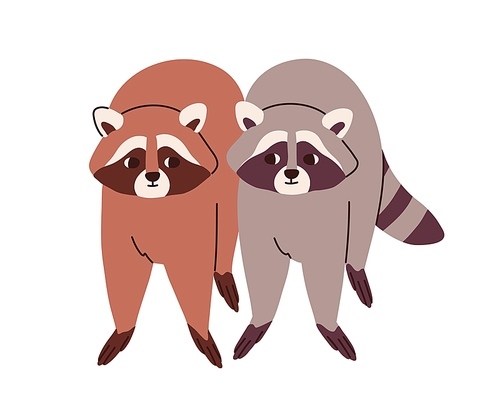Cute raccoons couple portrait. Funny racoon friends of different fur color. Adorable lovely sweet grey and brown wild animals pair. Flat vector illustration isolated on white .