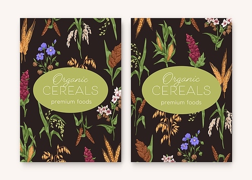 cereal backgrounds with grain crops . food package designs with mix of kernel spikelets. vertical organic product cover templates in retro style. hand-drawn colored vector illustrations.