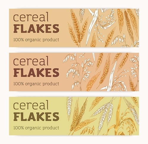 Ad banners set with cereal crops. Organic grain food, products, horizontal backgrounds in vintage style. Promo designs, templates with oat, wheat, barley spikelets. Hand-drawn vector illustrations.