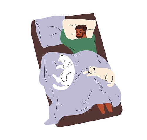 Black man sleeping in bed with cute cats. Person asleep alone, lying on belly. Guy dreaming on pillow under blanket, relaxing with pets. Flat graphic vector illustration isolated on white .