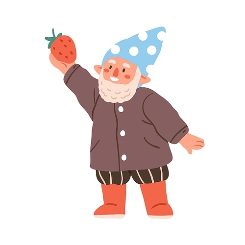 Cute happy garden dwarf holding strawberry. Fairytale gnome with summer berry in hand. Fairy bearded character in pointed cap. Childish flat vector illustration isolated on white .