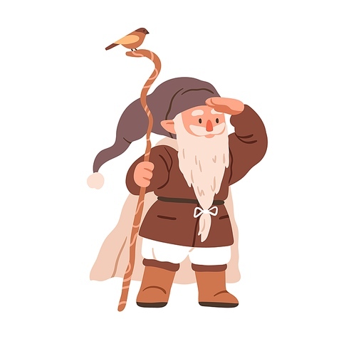 Cute gnome sorcerer with cane and bird. Fairytale bearded wizard. Fairy dwarf elf looking for smth. Old tiny magician in cap. Childish flat vector illustration isolated on white .