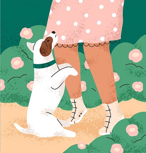 Cute dog of Jack Russell terrier breed sitting and begging by owners leg. Bicolor doggy near girl walking in nature, park in summer. Canine animal in praying position. Flat vector illustration.