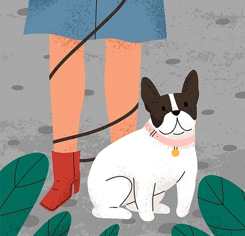 Dog of French bulldog breed sitting near female owners leg during stroll outdoor. Woman leading cute purebred doggy on leash in city. Adorable canine animal, urban lifestyle. Flat vector illustration.