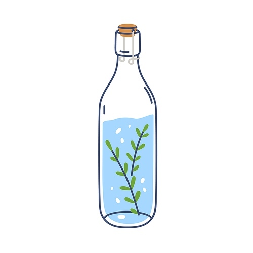 Detox infused water with rosemary leaf. Carbonated aromatic aqua drink in glass bottle closed with cork. Summer soda refreshment. Lineart flat vector illustration isolated on white .