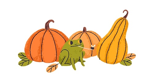 Orange pumpkins, fall harvest and cute funny frog eating insect in October. Autumn vegetables, squashes and amusing froggy with fly. Kids flat graphic vector illustration isolated on white .