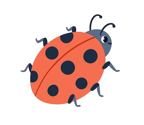 Ladybug, cute insect with spotted wings. Funny ladybird crawling. Lovely happy smiling lady beetle, bug. Childish flat graphic vector illustration isolated on white .