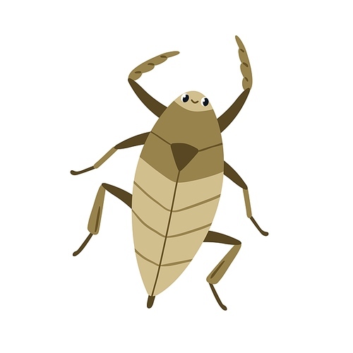 Water scorpion, cute funny insect. Needle bug, aqua beetle top view. Happy smiling aquatic nepidae character. Childish flat vector illustration isolated on white .