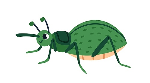 Cute snout beetle. Funny bug character, true weevils. Happy smiling adorable insect with long nose, proboscis. Childish flat vector illustration isolated on white .