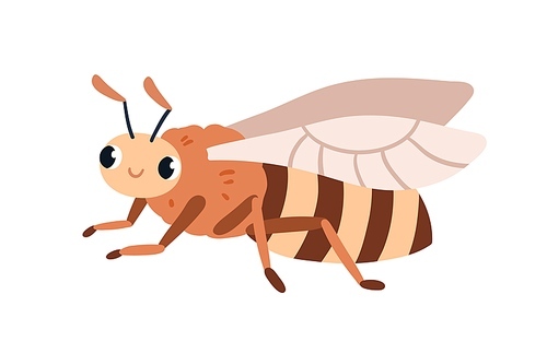 Cute honey bee with funny smiling face expression. Happy honeybee. Sweet adorable lovely striped insect with wings. Childish flat vector illustration isolated on white .