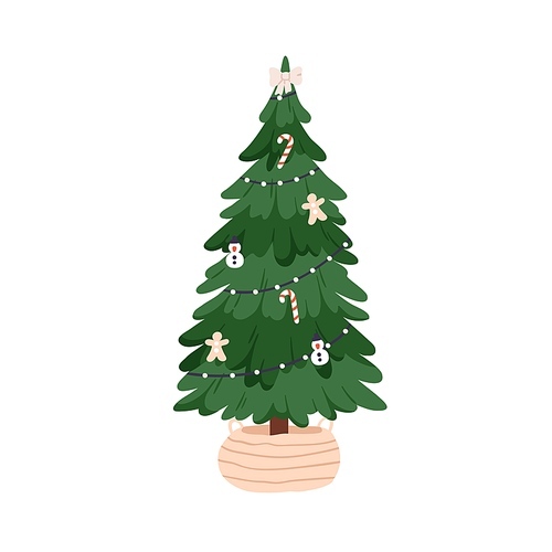 Xmas tree decorated with garland, baubles. Christmas fir growing in wicker basket. Traditional live firtree with festive ornament, toys, candies. Flat vector illustration isolated on white .