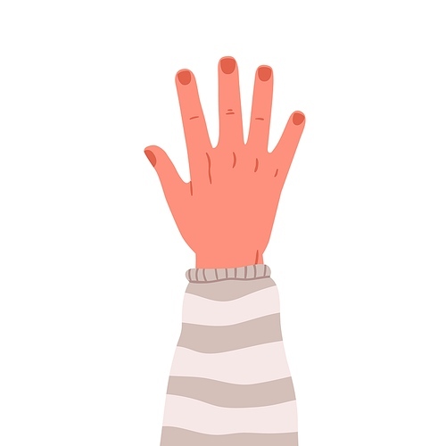 Male hand raised up, dorsal side. Men arm with neat fingers, nails, rising to vote. Human wrist with sweater cuff. Flat vector illustration isolated on white .