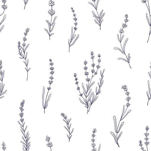Lavender pattern. Seamless floral background, outlined lavendar flowers, branches. Repeating print, botanical texture design. Hand-drawn engraved vector illustration for decoration, textile, fabric.