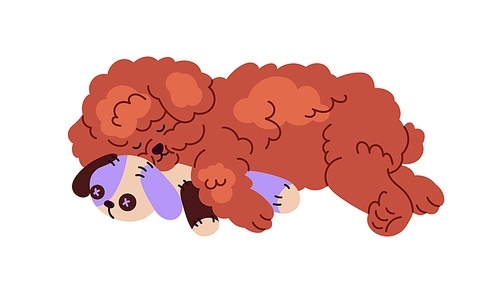 Cute dog of Poodle breed sleeping with toy. Little puppy asleep. Adorable sleepy doggy, curly fluffy fuzzy pup. Canine animal lying, relaxing. Flat vector illustration isolated on white .
