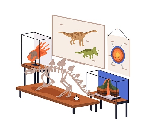 Geology, Paleontology classroom. Natural science subject for fossils and Earth study, education. Palaeontology class room with exhibits, skeleton. Flat vector illustration isolated on white background.