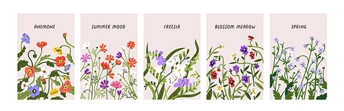 Floral cards with spring meadow flowers, field blossomed plants. Romantic botanical backgrounds set, floristic story covers with wildflowers, pansies, forget-me-nots blooms. Flat vector illustration.