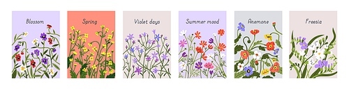 Floral card backgrounds set. Spring field flowers on modern botanical cover designs. Romantic gentle blossomed blooms, bellflowers and anemones on vertical nature banners. Flat vector illustrations.