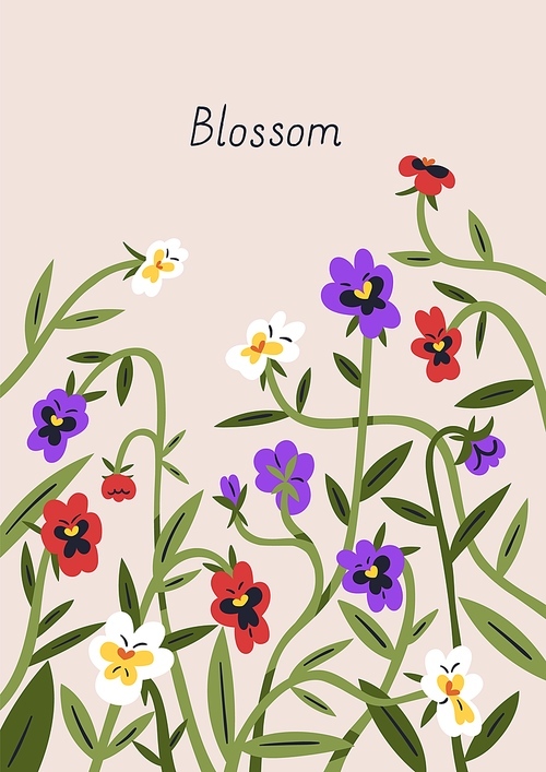 Spring flowers, botanical post card design. Floral postcard background, delicate pretty blooming plants, beautiful summer wild pansies, gentle heartsease wildflowers. Colored flat vector illustration.