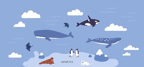 Antarctica, polar landscape. Antarctic pole fauna, marine animals in sea, ocean water, on island. Cute penguins, seals, whales in arctic nature. Childish Scandinavian flat vector illustration.