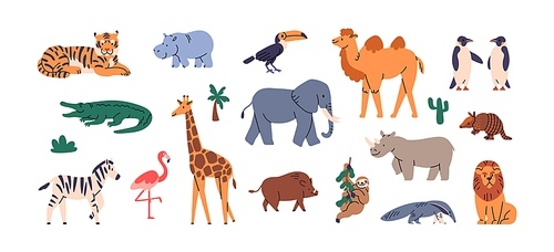 Wild African animals set. Exotic tropical mammals species. South wildlife fauna, giraffe, tiger, elephant, camel, zebra, flamingo. Childish kids flat vector illustrations isolated on white background.