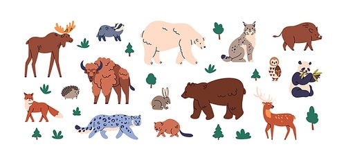 Wild animals, Eurasian fauna set. European wildlife species. Bear, fox, elk, moose, lynx, boar, deer, snow leopard and bison mammals. Childish flat vector illustrations isolated on white background.