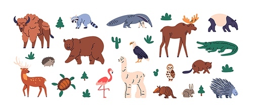 Wild animals set. North and South American fauna. America wildlife, mammals species. Exotic crocodile, llama, porcupine, raccoon, tapirus and elk. Flat vector illustration isolated on white background.