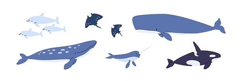 Sea animals set. Ocean fauna, dolphins, killer whale, narwhal, stingray. Cute aquatic mammals, big marine fishes swimming. Childish flat vector illustrations isolated on white background.