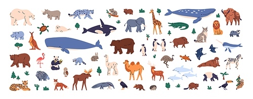 Different world animals set. Cute childish fauna, wildlife. Wild land and sea mammals, birds. Various bears, whale, kangaroo species. Flat graphic vector illustrations isolated on white background.