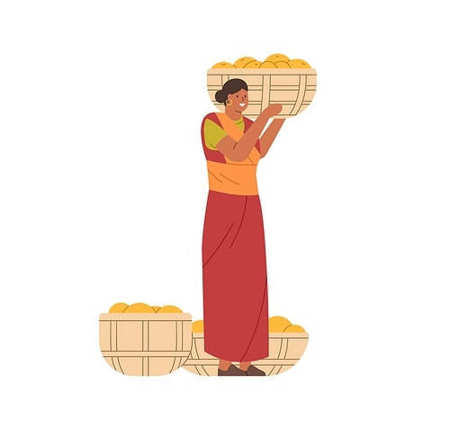 Happy Indian woman holding basket full of mango fruits. Female farmer in traditional clothes with collected harvest. Farm worker, picker in India. Flat vector illustration isolated on white background.
