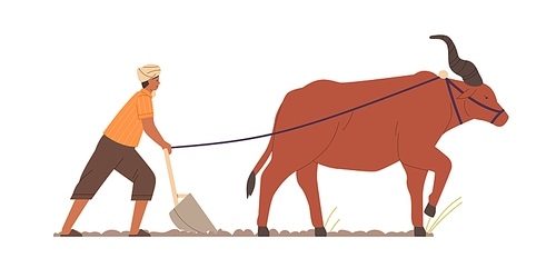 Indian farmer plowing with traditional primitive plough and ox. Farm worker and zeby on agriculture field in India. Man work on Asian farmland. Flat vector illustration isolated on white background.