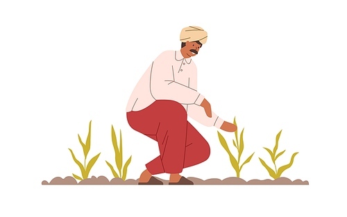Happy Indian farmer working on organic agriculture field. Smiling farm worker on plantation in India. Man in turban on land with growing plants. Flat vector illustration isolated on white background.