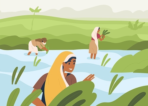 Indian farmers working on rice field, standing in water. Farm workers work on farmland in Asia. Happy people on Asian paddy plantation. Traditional agriculture in India. Flat vector illustration.