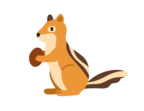 Chipmunk holding nut. Small forest rodent with striped back. Little woods mammal with food in paws. Cute animal from North American woodland. Flat vector illustration isolated on white background.