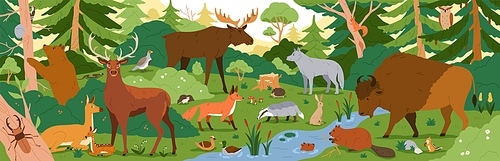 Forest animals in wild nature. Environment landscape with trees and habitats. Biodiversity of flora and fauna in temperate woods. Wildlife in woodland panorama. Colored flat vector illustration.