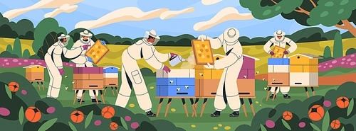 Beekeepers at apiary, work with hives and honey bees. Apiarists at farm with beehives and flower garden panorama. Apiculture workers in suits in summer. People and beekeeping. Flat vector illustration.