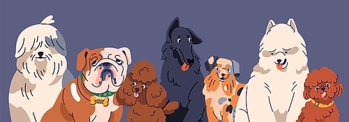 Dogs of different breeds, group portrait. Happy cute doggies, puppies together. Purebred canine animals, English Bulldog, Poodle, Bobtail, Samoyed, diverse pedigrees. Flat vector illustration.