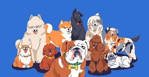 Cute dogs group portrait. Happy doggies, puppies of different breeds posing together. Funny canine animals gang with English Bulldog, Poodle, Corgi, Akita Inu. Isolated flat vector illustration.