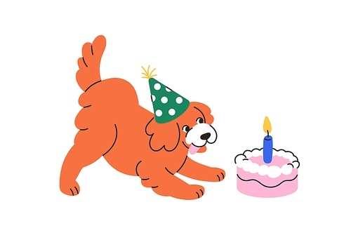 Happy dog with birthday cake, candle. Funny pet in b-day hat, cap celebrating one year. Cute puppy with holiday present, canine food surprise. Flat vector illustration isolated on white background.