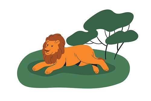 African lion, wild feline animal lying. Leo king, savanna predator with mane relaxing on grass in savannah. Male beast, mammal. Flat graphic vector illustration isolated on white background.