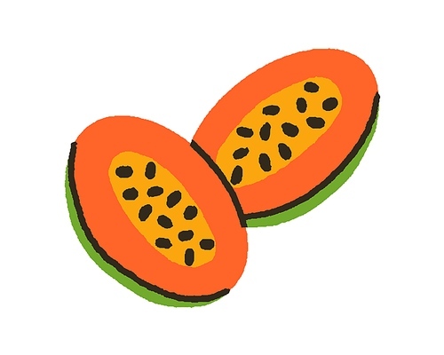 Cut papaya halves. Exotic pawpaw with black seeds, flesh, cross-section. Natural tropical food, papaw. Healthy vitamin nutrition. Flat graphic vector illustration isolated on white background.