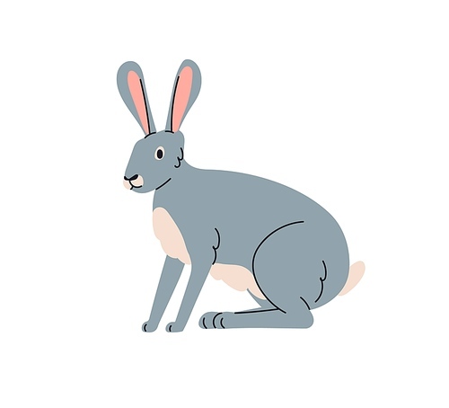 Hare, wild forest animal, herbivore. Lepus Europaeus, woods herbivorous mammal with long ears, fauna. Gray woodland bunny, jackrabbit sitting. Flat vector illustration isolated on white background.