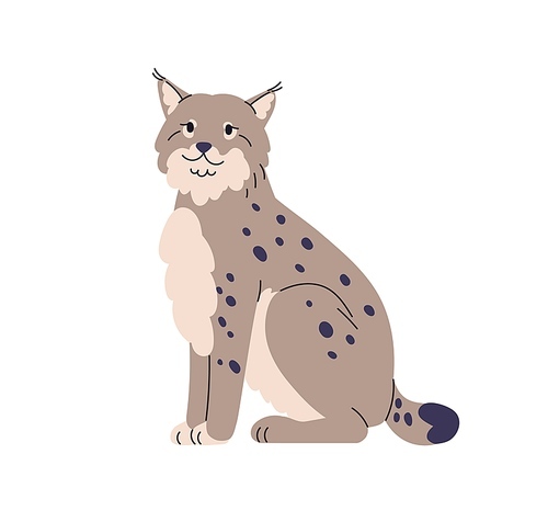 Lynx, wild feline cat, forest animal. Carnivorous mammal, predator with spotted fur, tufts on ears. Cute beast, carnivore sitting. Flat vector illustration isolated on white background.