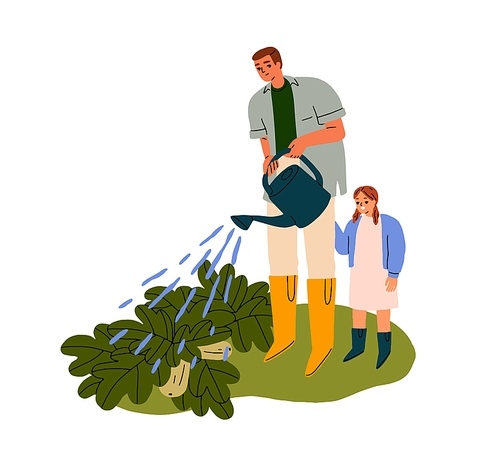 Family watering vegetable plants. Father and daughter farmers, gardeners cultivating, caring about organic food crops. Summer agriculture work. Flat vector illustration isolated on white background.