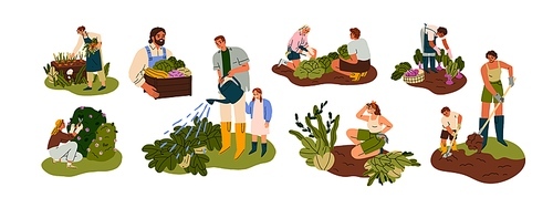 Farmers, gardeners during farm, garden works set. People, kid, agriculture workers care about plant, crop, picking vegetable at backyard. Flat graphic vector illustrations isolated on white background.