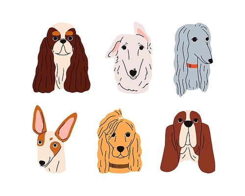Cute dogs muzzles, head portraits set. Puppy snouts avatars. Doggies faces of different canine breeds. Adorable Afghan hound, cocker spaniel. Flat vector illustrations isolated on white background.