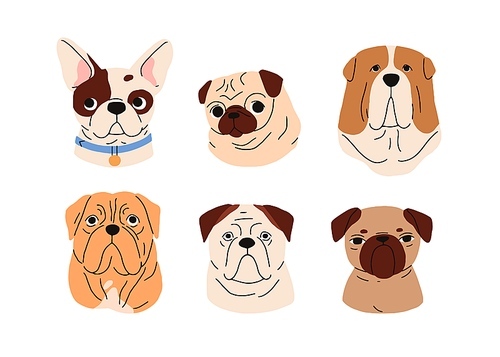 Cute dogs avatars set. Funny puppies, doggies faces, heads portraits. Adorable muzzles, snouts of different canine animal breeds, pug, bulldog. Flat vector illustrations isolated on white background.