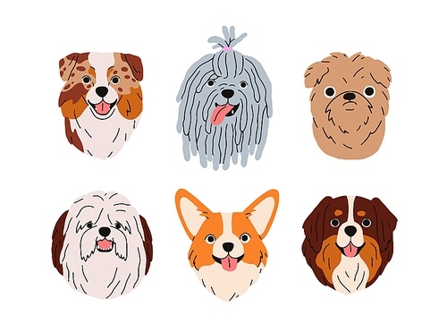 Cute dogs avatars set. Doggies heads, canine face portraits. Funny adorable puppies, animals of different breeds. Corgi, Puli, bobtail muzzles. Flat vector illustrations isolated on white background.