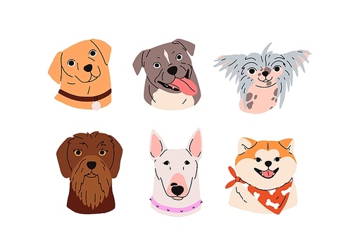 Cute dogs avatars set. Canine breeds, doggies heads portraits. Adorable muzzles, snouts of bull terrier, pudelpointer, shiba inu puppies, pups. Flat vector illustrations isolated on white background.
