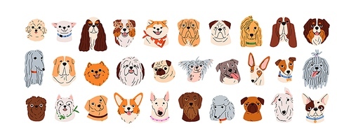 Cute dogs faces set. Canine head portraits of different doggy breeds. Funny puppies muzzles. Happy pups avatars of bulldog, poodle, pug. Flat graphic vector illustrations isolated on white background.